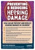 Preventing and Reducing Hearing Damage A4 flyer